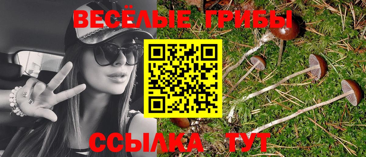 Дзержинский  Галлюциногенные грибы Magic Shrooms  Галлюциногенные грибы MAGIC MUSHROOMS  Вход с VPN 